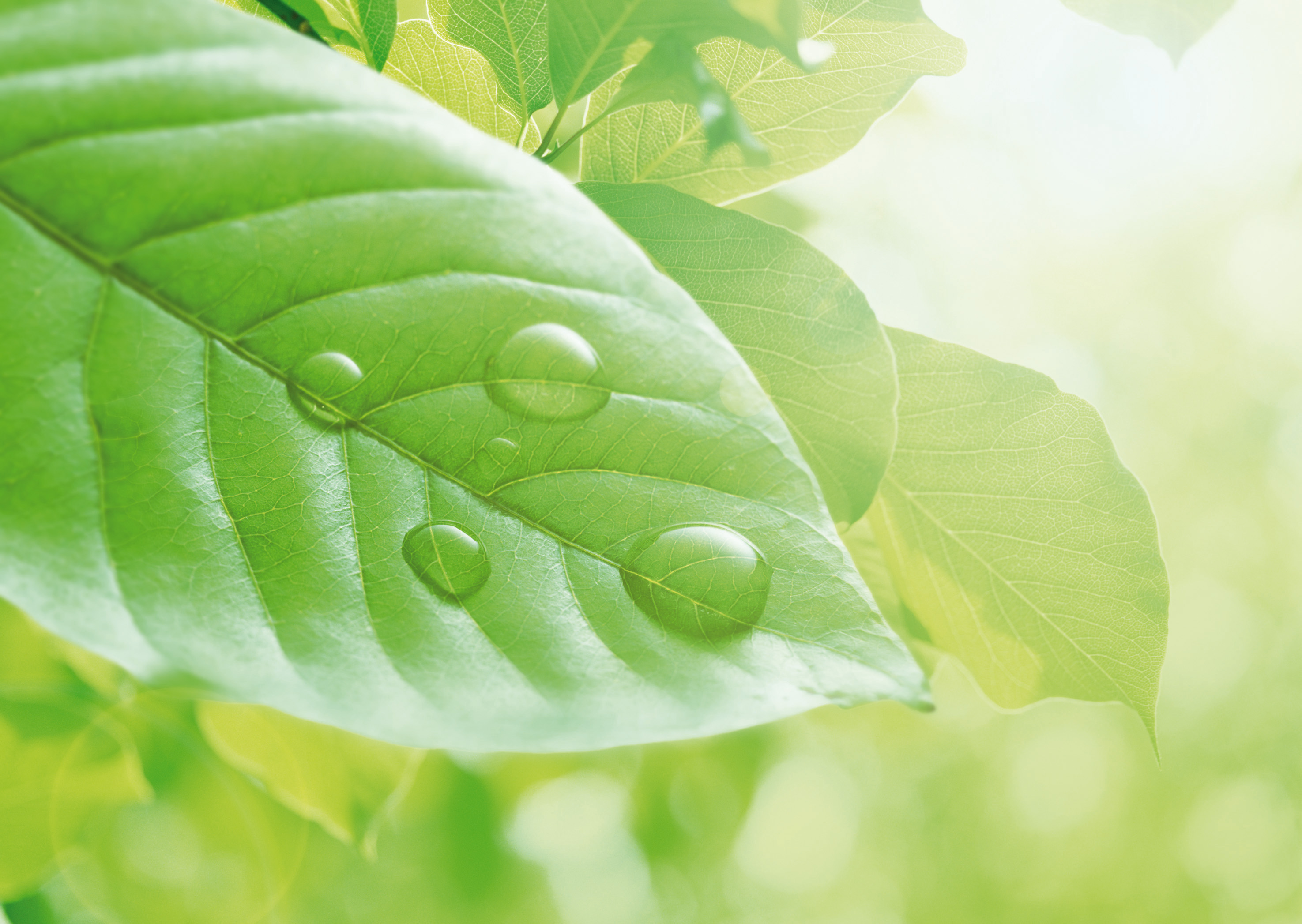 Veille réglementaire