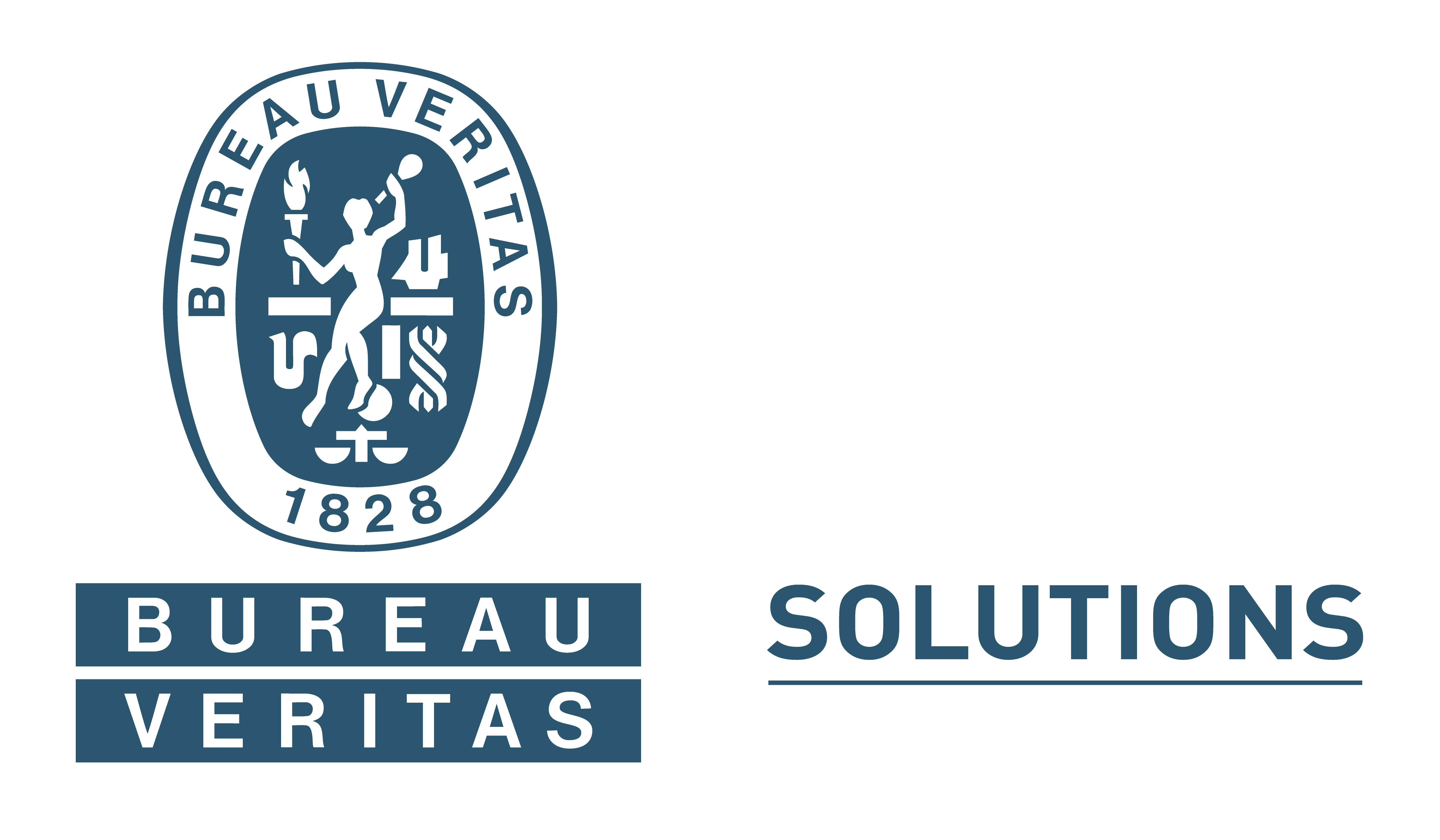 Logo Bureau Veritas Solutions