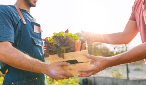 RSE, gaspillage… avec l’ISO 26030 l’agro-alimentaire apporte de la transparence dans nos assiettes 