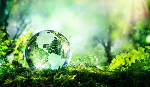 La ligne verte d'expertise de Bureau Veritas 