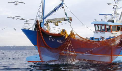 pour une pêche plus durabe, des labels pour les conserves de poissons