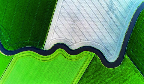 Vue aérienne d'une route serpentant au milieu de champs verts