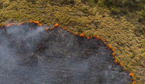 Vue aérienne d'une scène de déforestation.