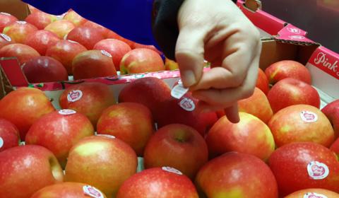 Un étal de pommes Pink Lady