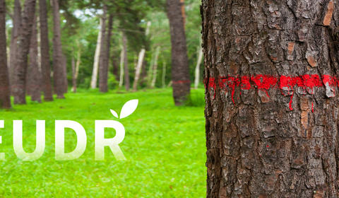 Réglementation EUDR : les entreprises dans la dernière ligne droite pour se mettre en conformité (en couverture, la question de la déforestation).