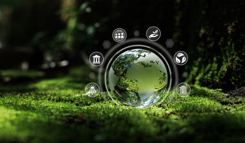 Ecovadis : notation RSE