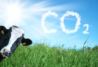 Élevages bas carbone : les méthodes pour réduire les émissions de gaz à effet de serre