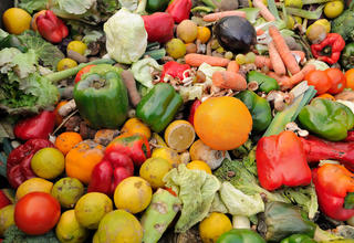 Bureau Veritas engagé contre le gaspillage alimentaire