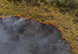 Vue aérienne d'une scène de déforestation.