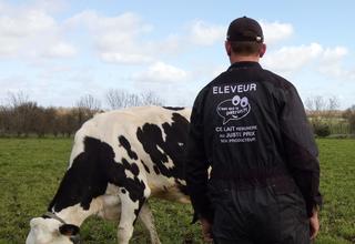 C'est qui le patron_©Arnaud Chevalier Landemont