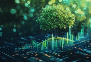 finance durable