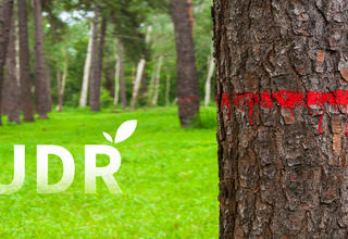 Réglementation EUDR : les entreprises dans la dernière ligne droite pour se mettre en conformité (en couverture, la question de la déforestation).