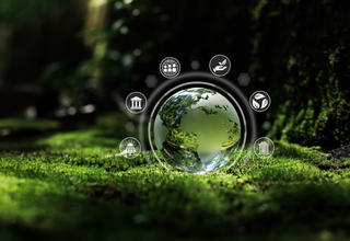 Ecovadis : notation RSE