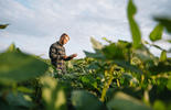 Portrait d'un jeune agriculteur debout dans un champ