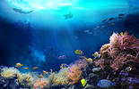 La fondation de la mer et Bureau Veritas lancent "Ocean approved"