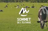 Sommet de l'élevage