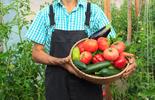 Agriculteur et les légumes
