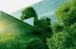 bâtiment et arbres verts