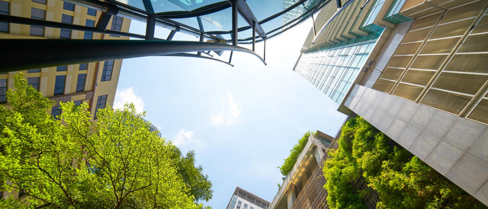 Vue en contre-plongée d'immeubles aux façades végétalisées