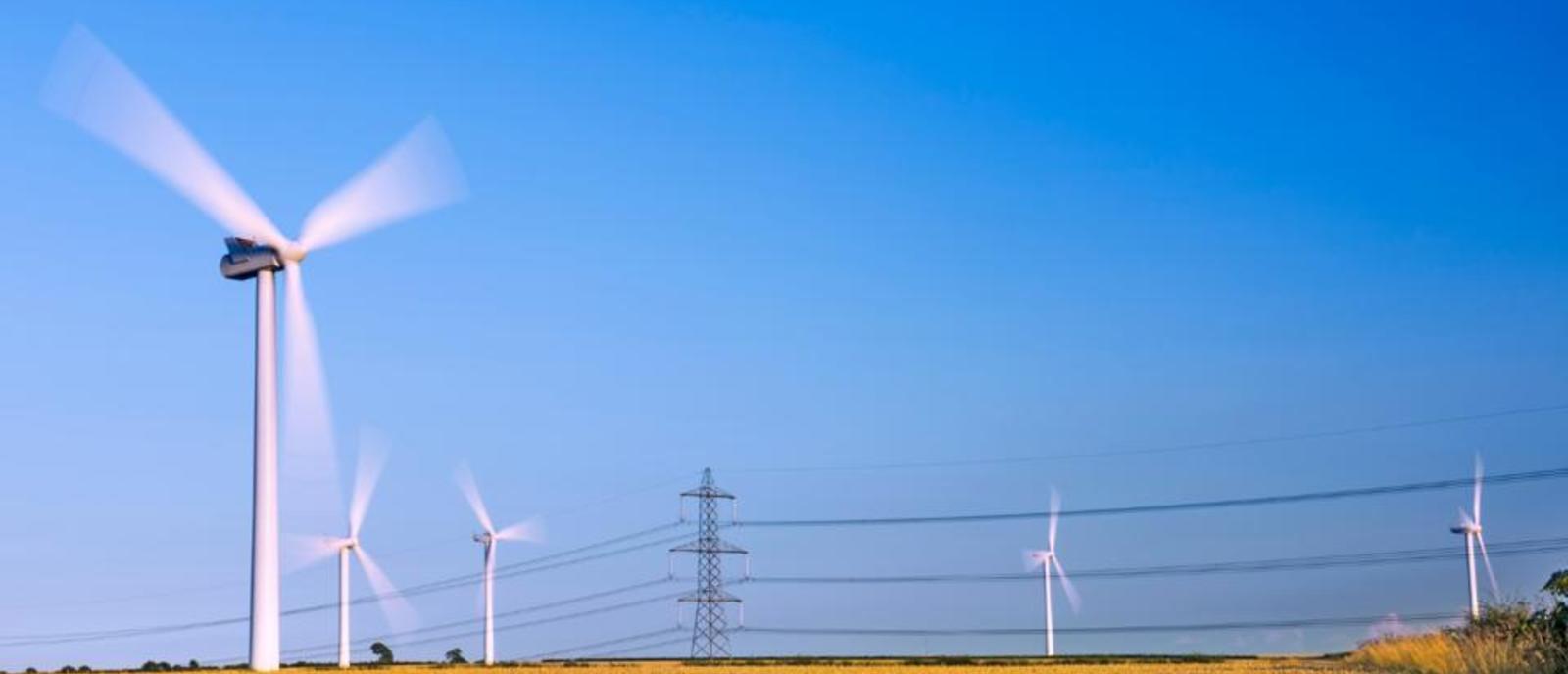 champ avec des éoliennes