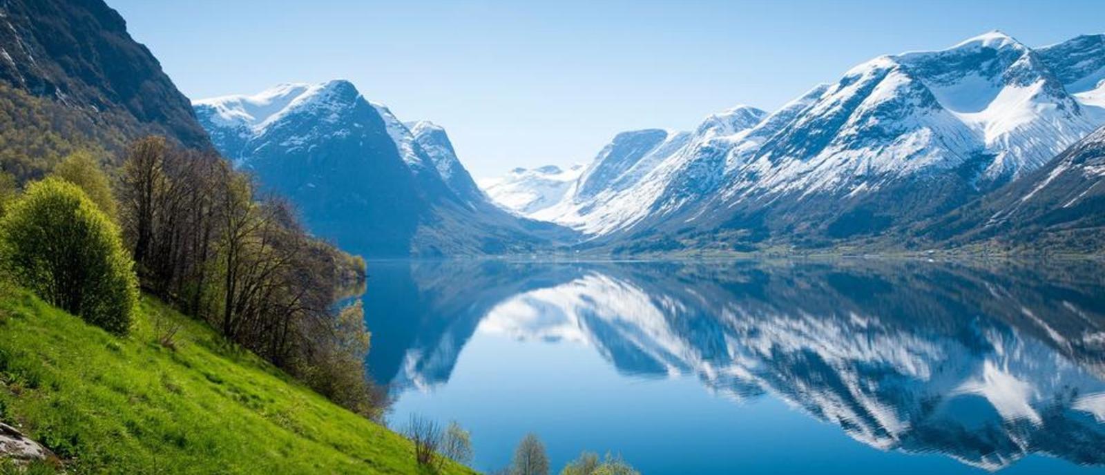 Cover for Sustainability Trends Report 2025