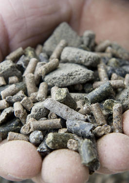 alimentation animale