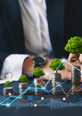 Plusieurs dispositifs incitent à l’investissement dans des projets respectueux de l’environnement : illustration.
