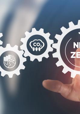 netzero