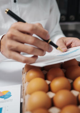 Surveillance des denrées alimentaires : contrôle et inspection des œufs