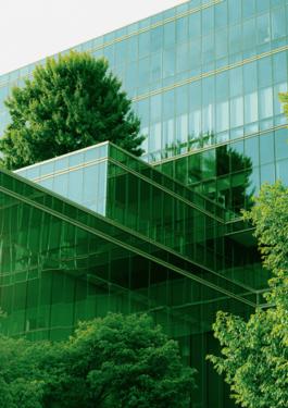bâtiment et arbres verts