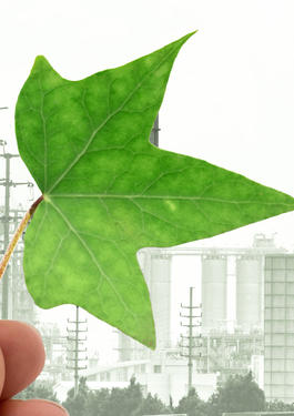 anti greenwashing