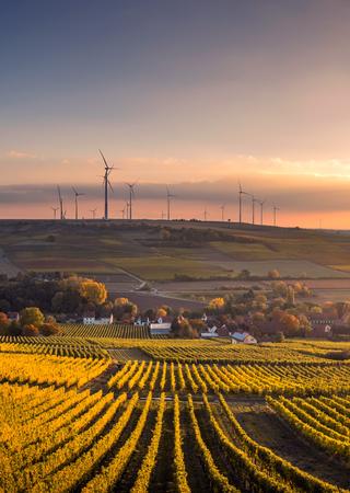 alt  champs avec éoliennes