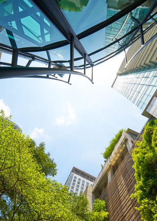 Vue en contre-plongée d'immeubles aux façades végétalisées
