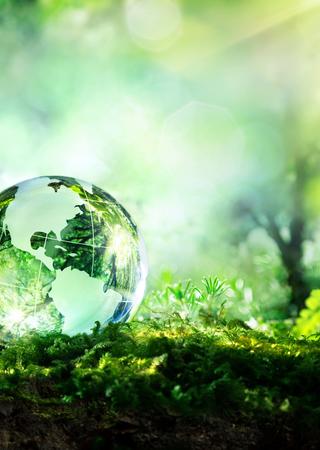 La ligne verte d'expertise de Bureau Veritas 