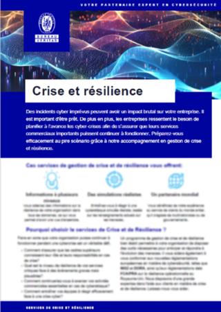 Brochure Cyber crisis management