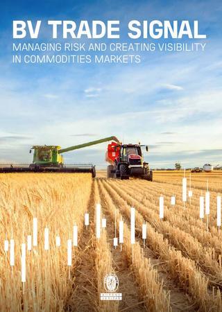Copertina-wp-commodities