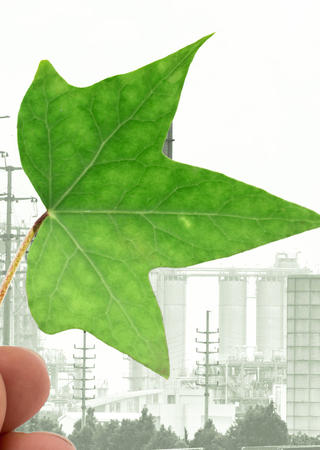 anti greenwashing