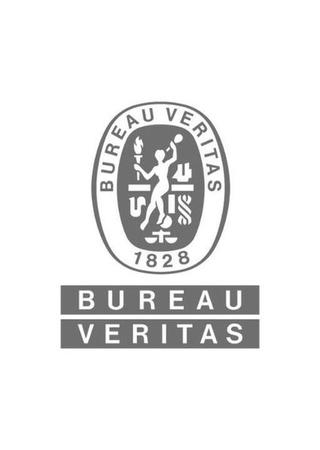 Logo Bureau Veritas