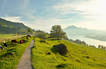 chemin de la réglementation BIO