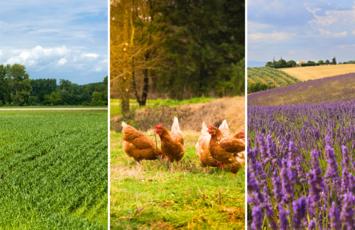 Actualités Bio Agriculture 