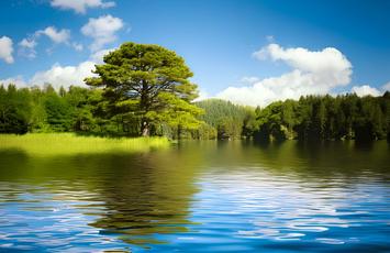 Living Resources RSE