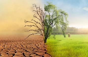 changement climatique