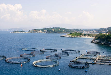 aquaculture 