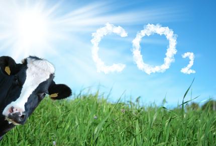 Élevages bas carbone : les méthodes pour réduire les émissions de gaz à effet de serre