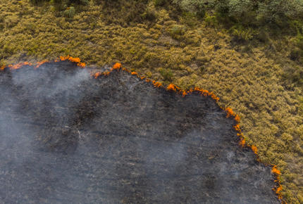 Vue aérienne d'une scène de déforestation.