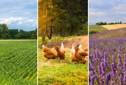 Actualités Bio Agriculture 