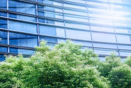 bâtiment et arbres