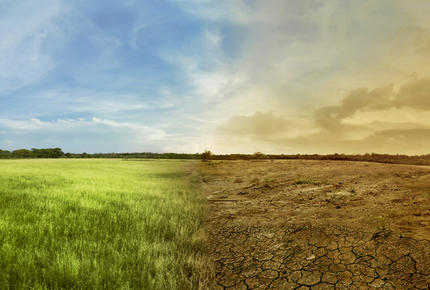 Adaptation des entreprises au changement climatique : tour d'horizon