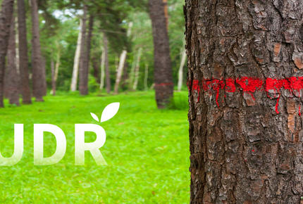 Réglementation EUDR : les entreprises dans la dernière ligne droite pour se mettre en conformité (en couverture, la question de la déforestation).