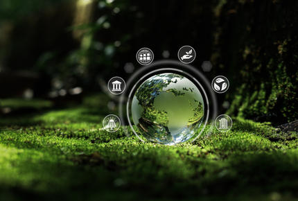 Ecovadis : notation RSE